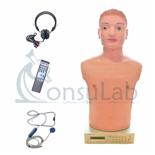 Simulador Avançado de Torso pra Habilidades Médicas de Ausculta Cardiopulmonar com Controle Remoto