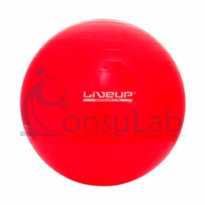 Bola Suiça Premium - 45cm - Vermelha
