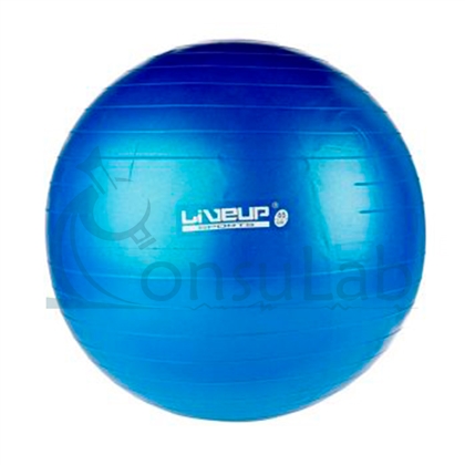 Bola Suiça Premium - 65 cm - Azul