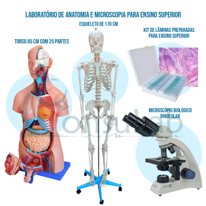 Laboratório de Anatomia e Microscopia para Ensino Superior