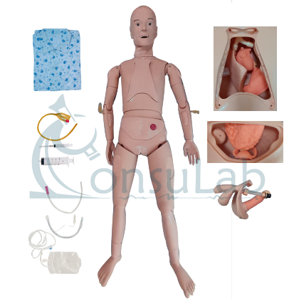 Manequim Simulador Adulto Bissexual para Treino de Enfermagem com Órgãos Internos