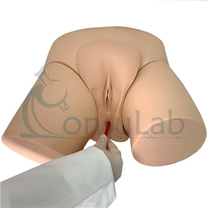 Simulador de Cateterismo Vesical, Bissexual com Dispositivo de Controle.