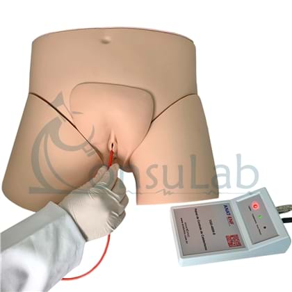 Simulador de Cateterismo Vesical, Bissexual com Dispositivo de Controle.