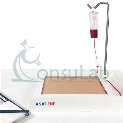 Simulador de Cirurgia Vascular