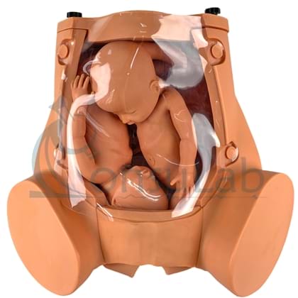 Simulador de parto Gemelar, com Placenta