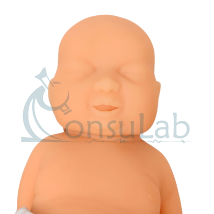 Simulador para Avaliação e Cuidados com o Manequim Neonatal