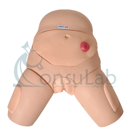 Simulador para Cateterismo Bissexual com Dispositivo de Controle