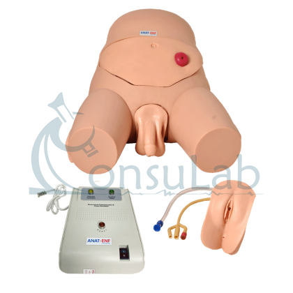 Simulador para Cateterismo Bissexual com Dispositivo de Controle