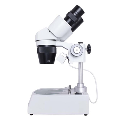 Estereomicroscópio Binocular Basic 80 X. Bivolt - Objetivas 2x e 4x - Aumento 20x  80x