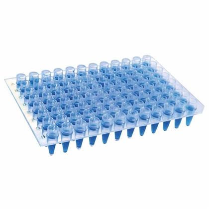 MICROPLACA DE PCR SEM BORDA COM POCOS ELEVADOS. 25 UN/CX